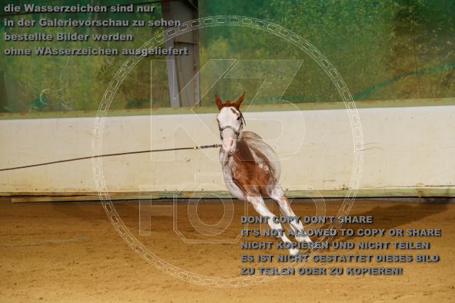 s_K3F06170.JPG